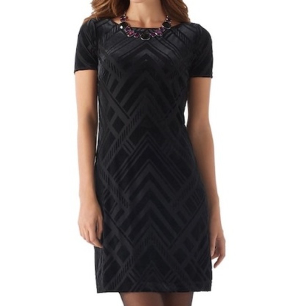 White House Black Market Velvet Dress Size XXS